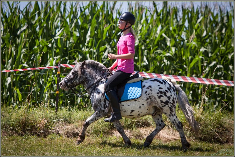 Mounted Games 222